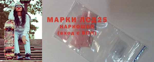индика Богородицк