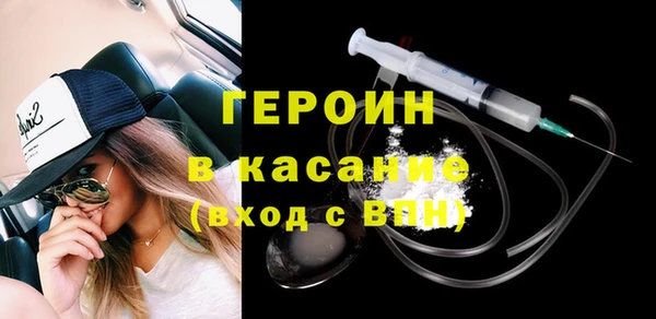 индика Богородицк