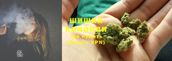 индика Богородицк