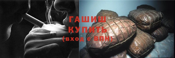 индика Богородицк