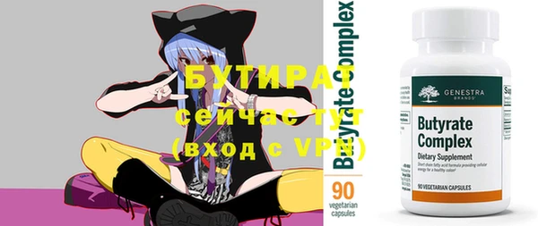 индика Богородицк