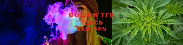 индика Богородицк
