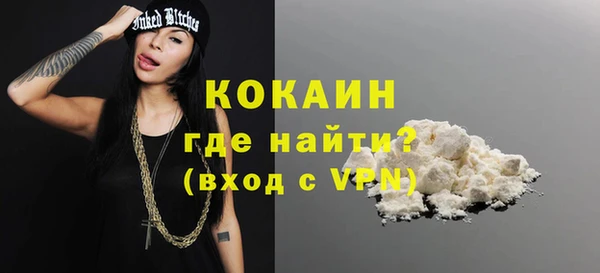 индика Богородицк