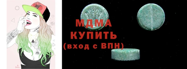 индика Богородицк