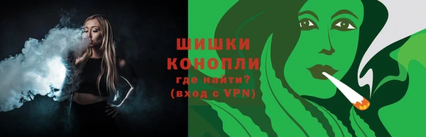 соль ск Богданович