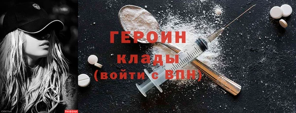 индика Богородицк