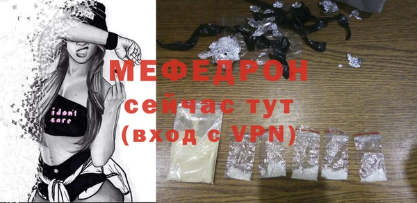 индика Богородицк