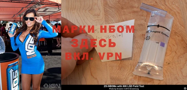 индика Богородицк
