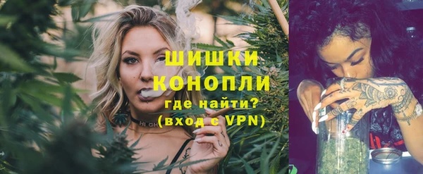индика Богородицк