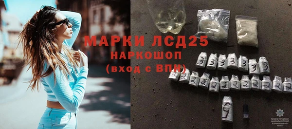 индика Богородицк