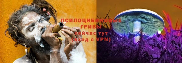 индика Богородицк
