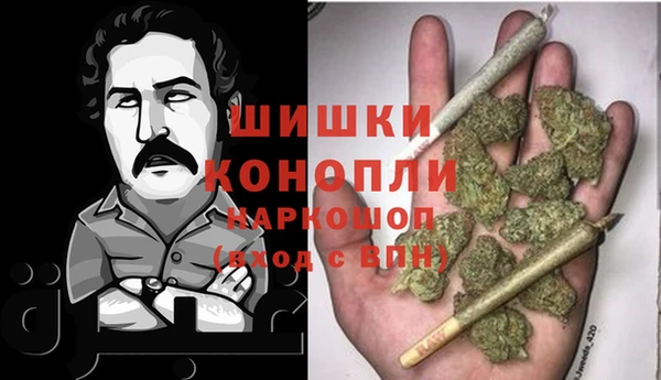индика Богородицк