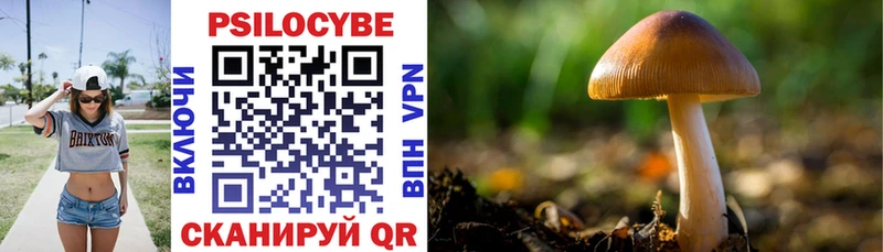 МЕГА сайт  Ессентукская  Псилоцибиновые грибы Psilocybe 